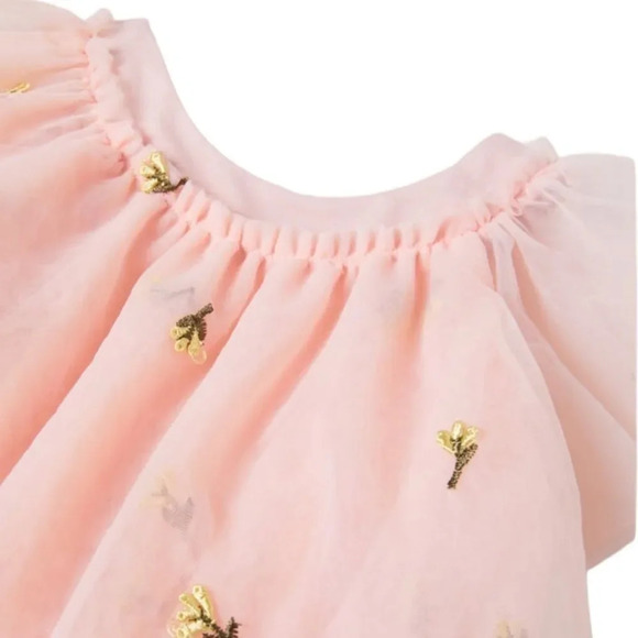 ZARA Kids | Beige-Pink | FLORAL EMBROIDERED TULLE DRESS - Picture 4 of 6
